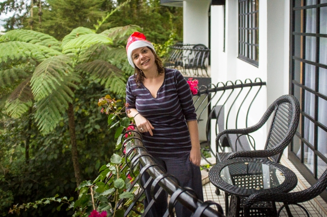 Merry Christmas in Strawberry Hill Resort, Cameron Highlands